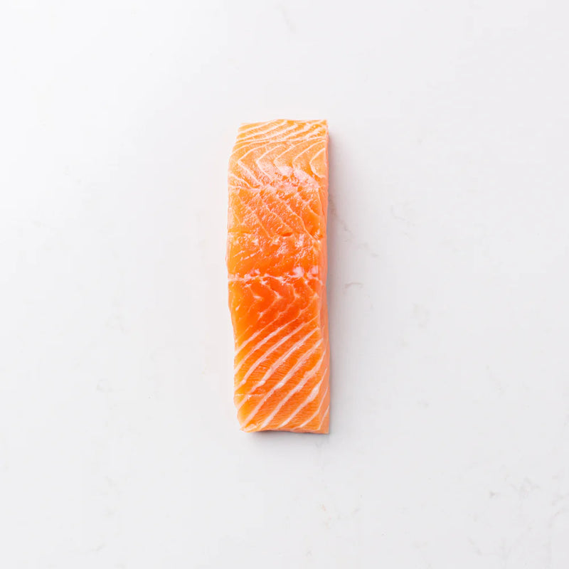Atlantic Salmon