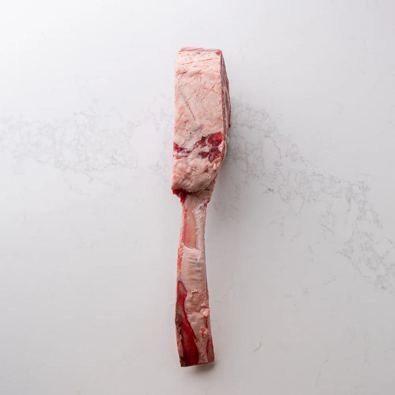 AAA TOMAHAWK