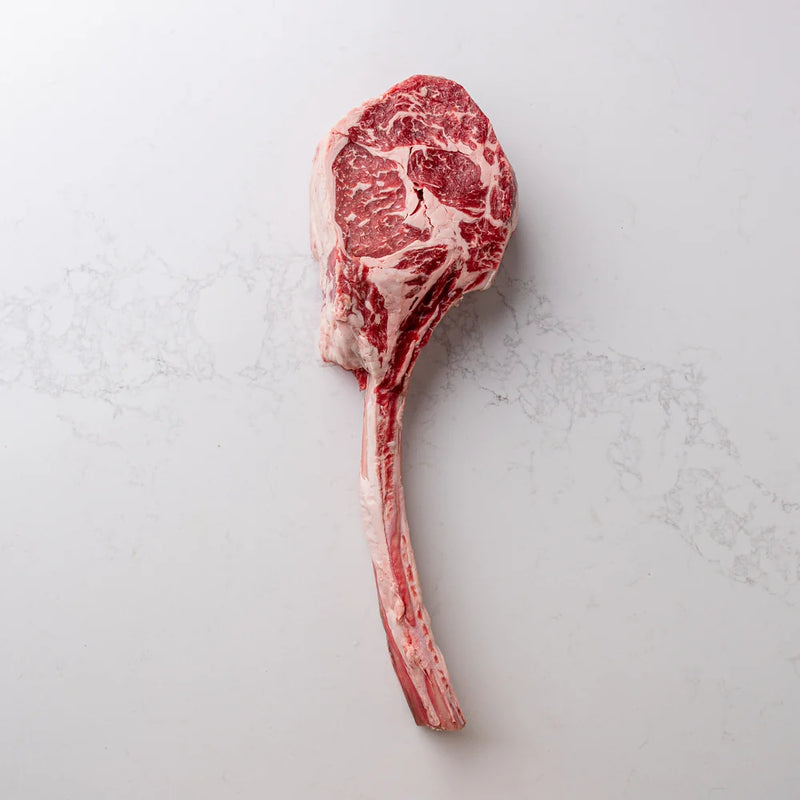 AAA TOMAHAWK