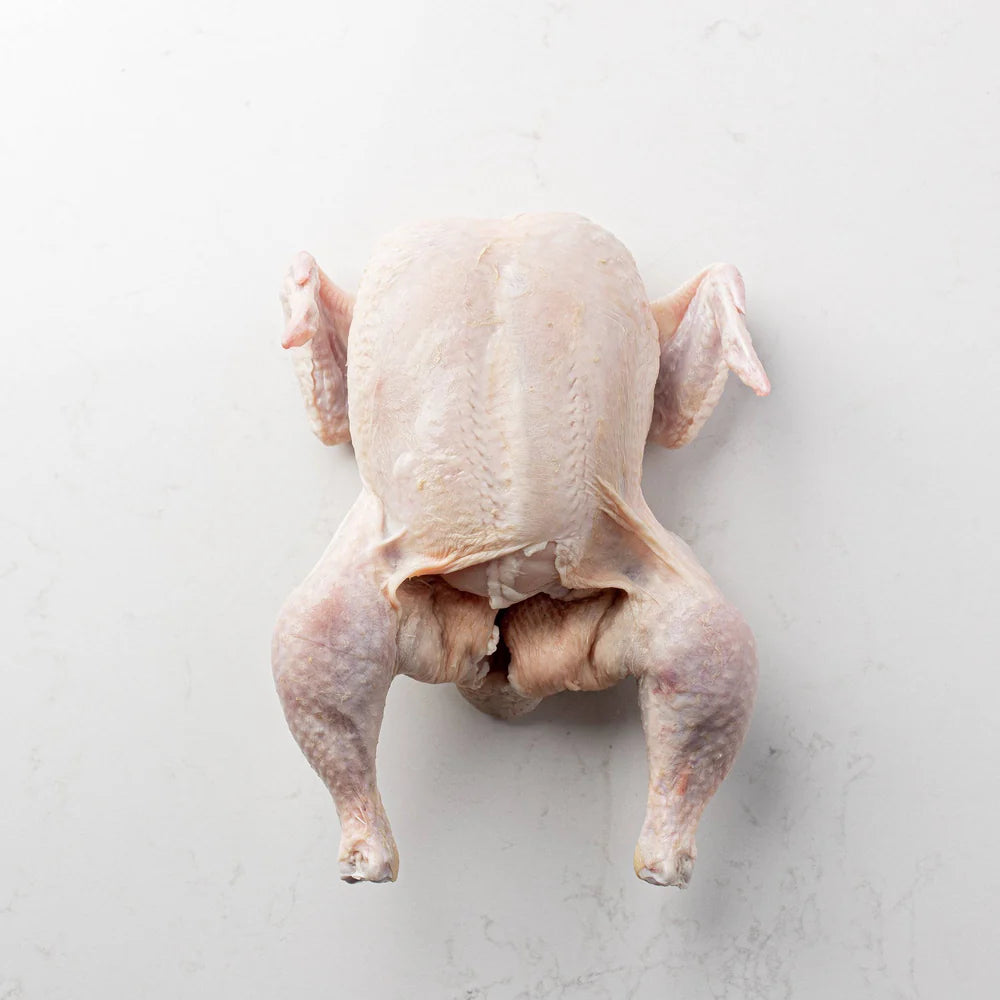 ROASTER CHICKENS