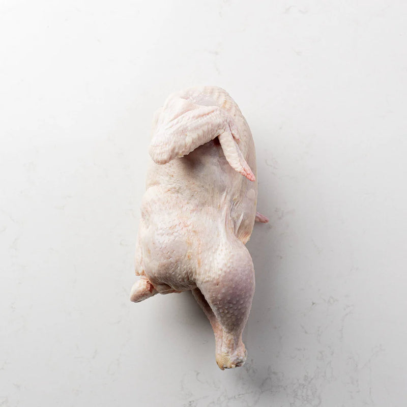 ROASTER CHICKENS