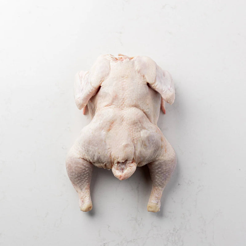 ROASTER CHICKENS